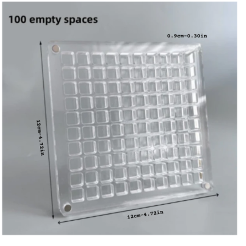 スタイルと安全性を持って貝殻を展示してください