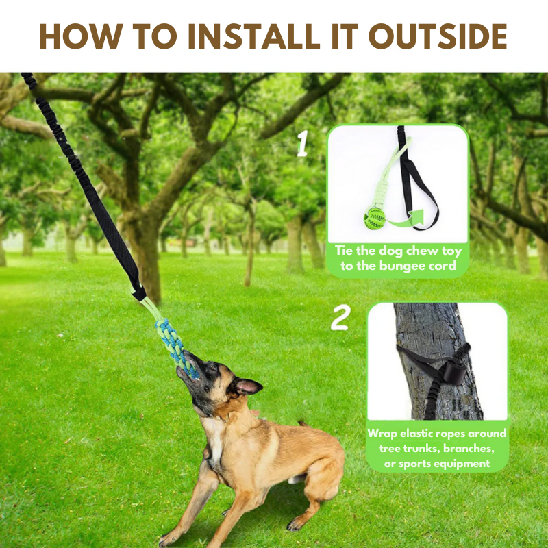 Jouet interactif pour chien : amusement garanti !