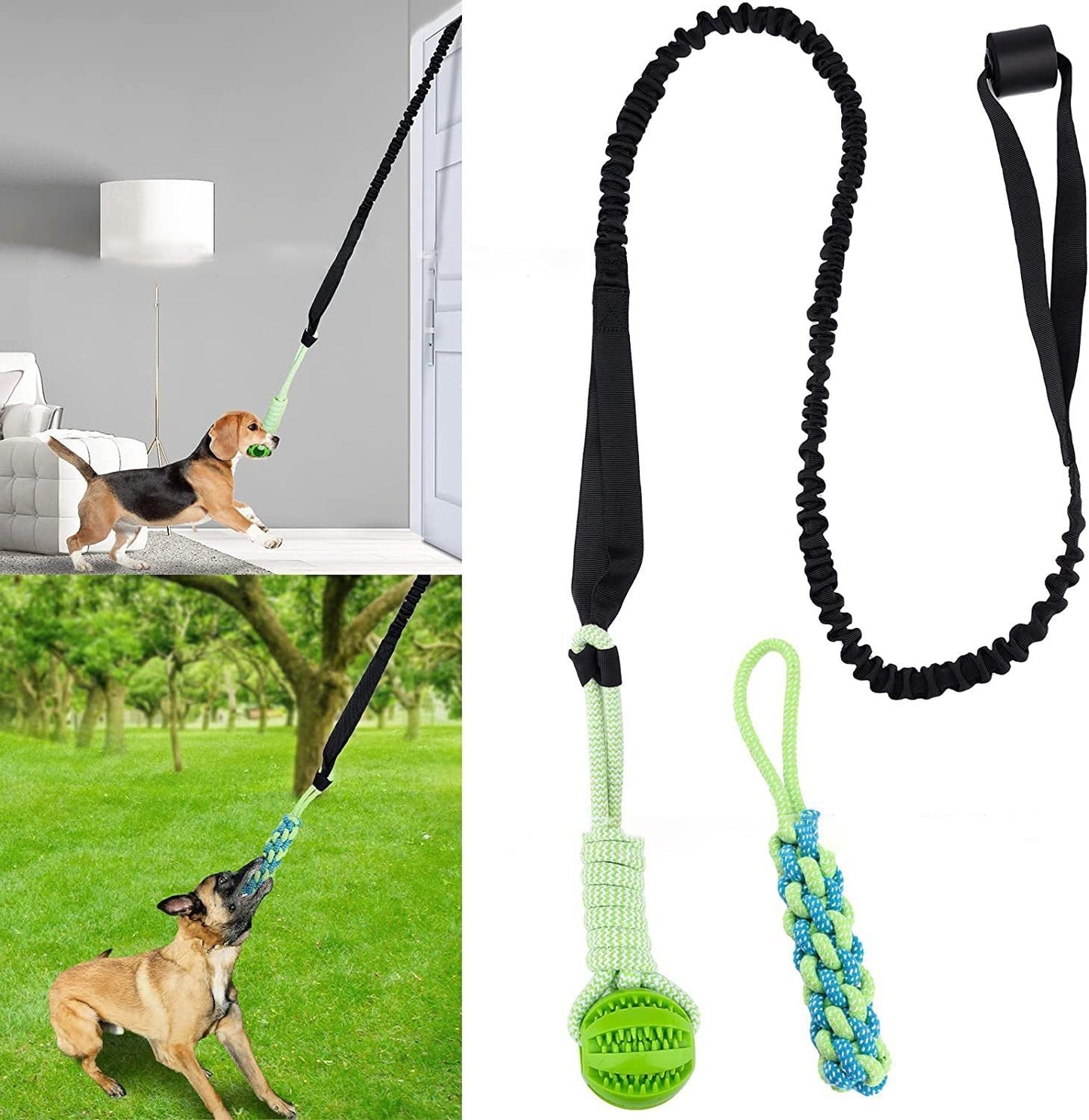 Jouet interactif pour chien : amusement garanti !