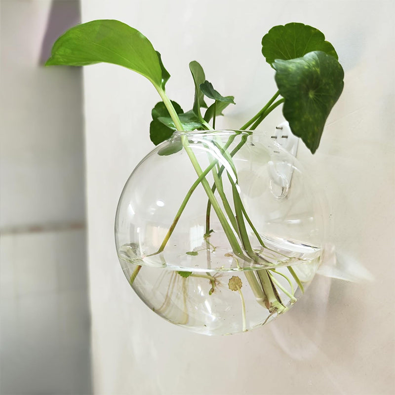 Destaca tus plantas en tus paredes, sin perforar