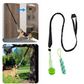 Jouet interactif pour chien : amusement garanti !