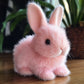 Ultra zachte konijnenknuffel, de perfecte knuffelgenoot 