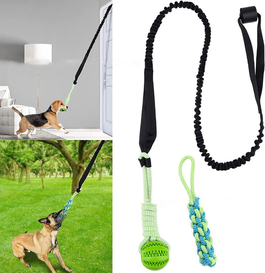 Juguete interactivo para perros: ¡diversión garantizada! 
