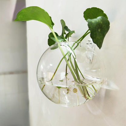 Destaca tus plantas en tus paredes, sin perforar 