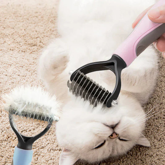 Escova: o acessório ideal para o seu animal de estimação 