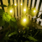 Firefly lights™ - Magisk utendørs belysning 